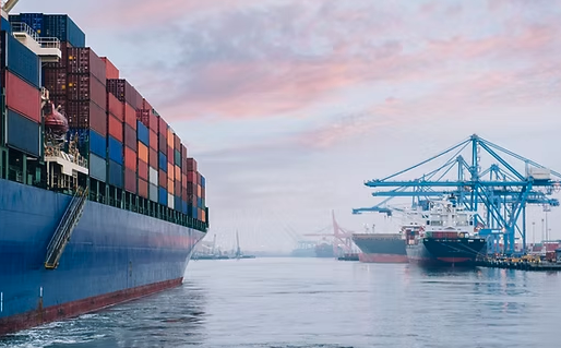A fleet of 45 ships begins using biofuel